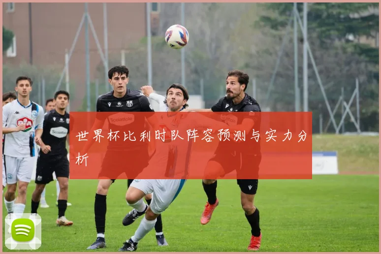 世界杯比利时队阵容预测与实力分析